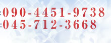 �r���i�؍��ꋳ�����⍇���� TEL090-4451-9738 FAX:044-982-8181